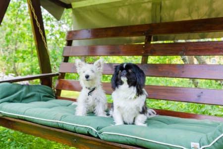 Poppelstrand Nuuksio, Pet Friendly Guest Apartment ภายนอก รูปภาพ