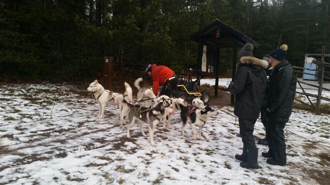 Poppelstrand Nuuksio, Pet Friendly Guest Apartment ภายนอก รูปภาพ
